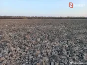 Oportunitate dezvoltare rezidentiala| 4.816 mp | Ghiroda 