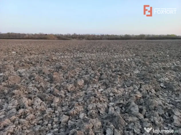 Oportunitate dezvoltare rezidentiala| 4.816 mp | Ghiroda - Ghiroda (Timis)