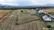 Teren 799mp Sanpetru / Strada drumul cu plopi 