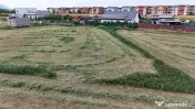 Teren 799mp Sanpetru / Strada drumul cu plopi 
