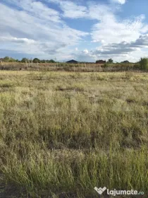Teren extravilan, 500 mp, zona Careiului