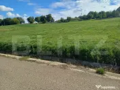 Teren de vânzare intravilan, 2000 mp, Zvoristea