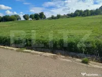 Teren de vânzare intravilan, 2000 mp, Zvoristea 