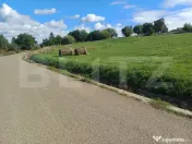 Teren de vânzare intravilan, 2000 mp, Zvoristea