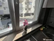 Aparatorii patriei studio jilavei 