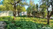 Casă de vânzare în Râciu! 