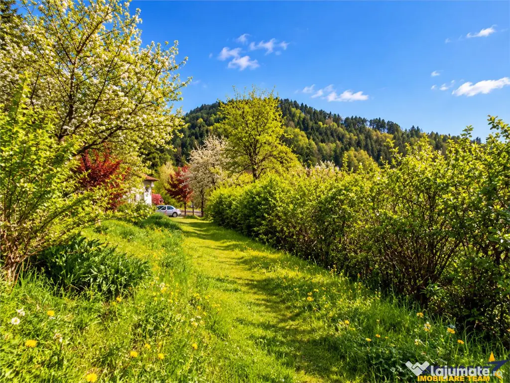 Resedinta distinctiva, pe domeniu de 2.200mp, cadru exclusiv - Brasov (Brasov)