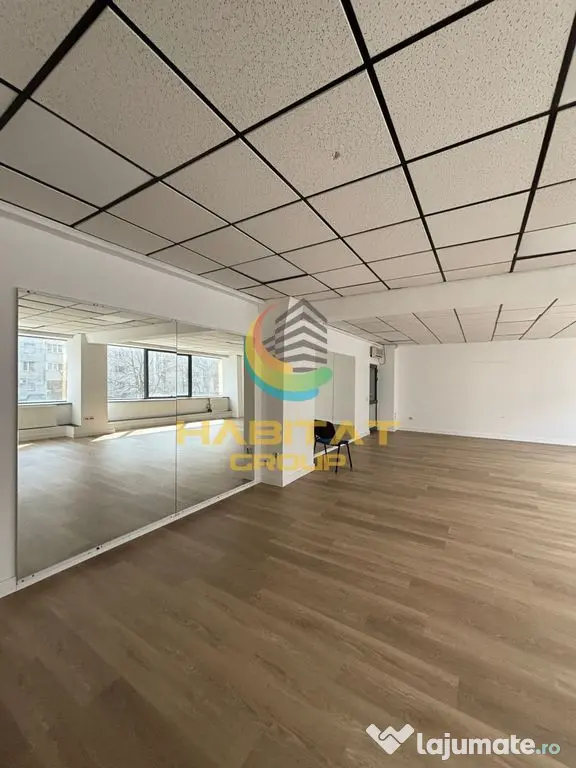 Spatiu de inchiriat Piata Sudului 10 euro/mp Berceni - Oltenitei - Bucuresti (Bucuresti-Ilfov)