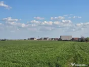 Teren de vanzare in Tuzla zona castelul de apa 