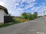 Teren Cernica, Tanganu 922 Mp Gata De Construit Acum ! Toate Utilitatile 