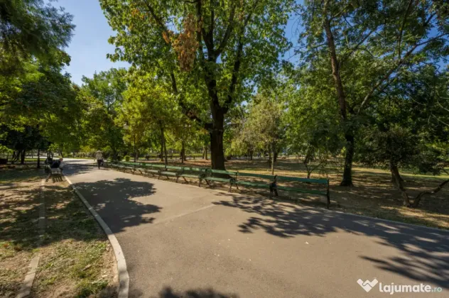 CISMIGIU - INTRAREA RIGAS, STUDIO 26 MP, LA CHEIE! - Bucuresti (Bucuresti-Ilfov)