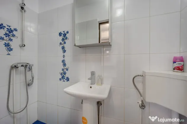 CISMIGIU - INTRAREA RIGAS, STUDIO 26 MP, LA CHEIE! - Bucuresti (Bucuresti-Ilfov)