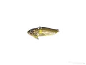 Cicada Strike Pro Astro Vibe 146OBE 6,5Cm/26,3G 
