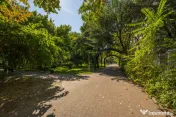 Apartamentul de lângă parc, 2 camere în care te poți mut 