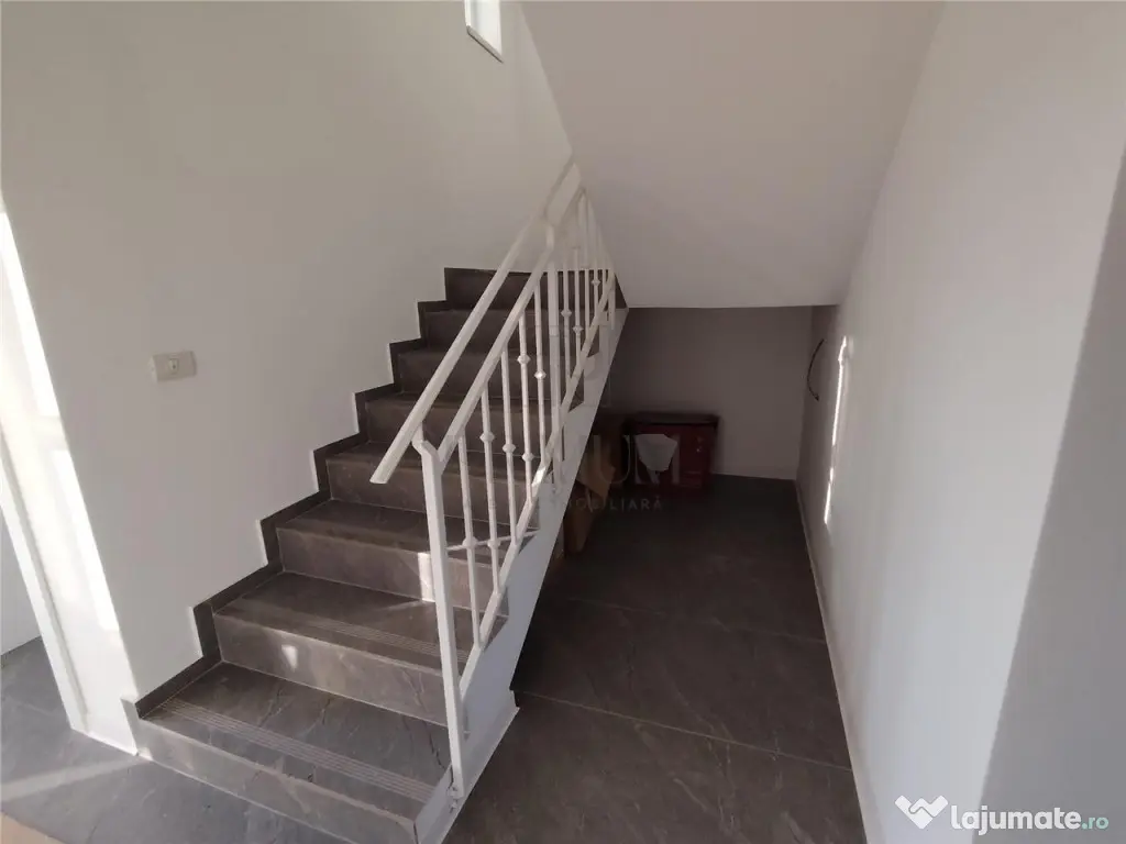 Casa individuala - spatii generoase- zona foarte buna - carp - Mosnita Noua (Timis)