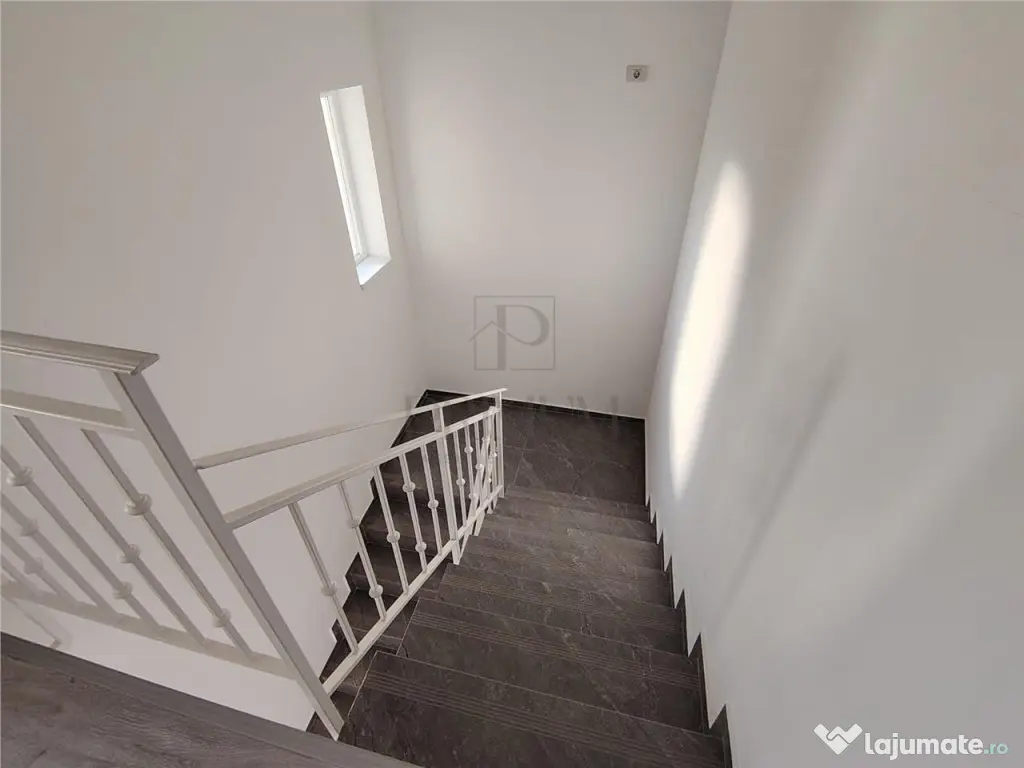 Casa individuala - spatii generoase- zona foarte buna - carp - Mosnita Noua (Timis)