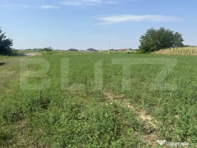 Teren extravilan ,480 mp, zona Alecu Russo - Satu Mare (Satu-Mare)