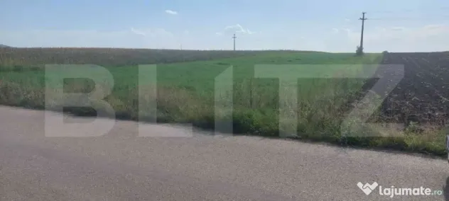 Teren intravilan de vanzare in Gligoresti JUD Cluj - Gligoresti (Cluj)