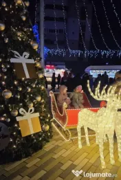 Pachet iluminat festiv Craciun decorațiuni profesionale exterior 