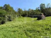 Teren de vânzare intravilan-Ocoliș