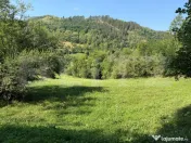 Teren de vânzare intravilan-Ocoliș