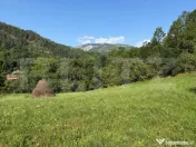 Teren de vânzare intravilan-Ocoliș