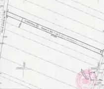 Teren de vanzare in zona Mogosoaia (Iesire la Lac) 2953mp
