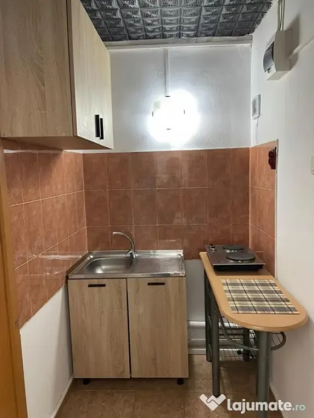 BLASCOVICI- AP. 1 CAMERA - mobilat, utilat, SPATIOS - Timisoara (Timis)