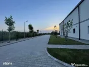 Hala 599 mp Caciulati- Moara Vlasiei ( Snagov ) 