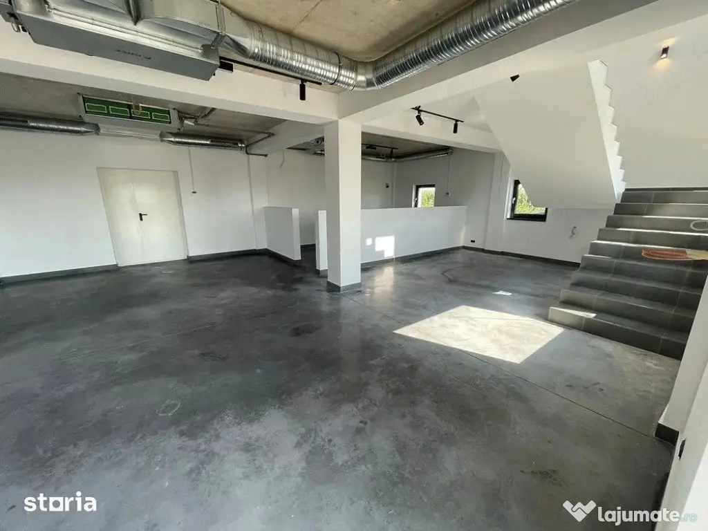 Hala 599 mp Caciulati- Moara Vlasiei ( Snagov ) - Caciulati (Bucuresti-Ilfov)
