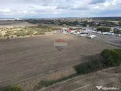 Teren 43,200mp Pecica / Periferie 
