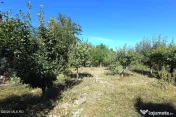 Castelu - Str. Florilor, casa din 2012, teren 737 mp si 106 mp utili 