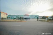 Hală în parc industrial Borș 1, teren 2.903 mp, de vânzare 