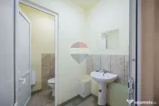 Hală în parc industrial Borș 1, teren 2.903 mp, de vânzare 