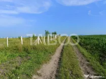 Teren de vanzare 5000 mp - pretabil investitie - Sura Mica