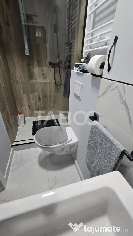 Garsoniera de vanzare in bloc renovat integral in zona Lazar - Sibiu (Sibiu)