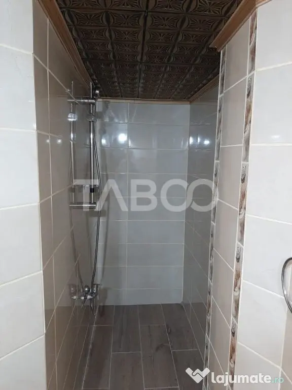 Apartament de vanzare 3 camere pretabil spatiu comercial zon - Sibiu (Sibiu)
