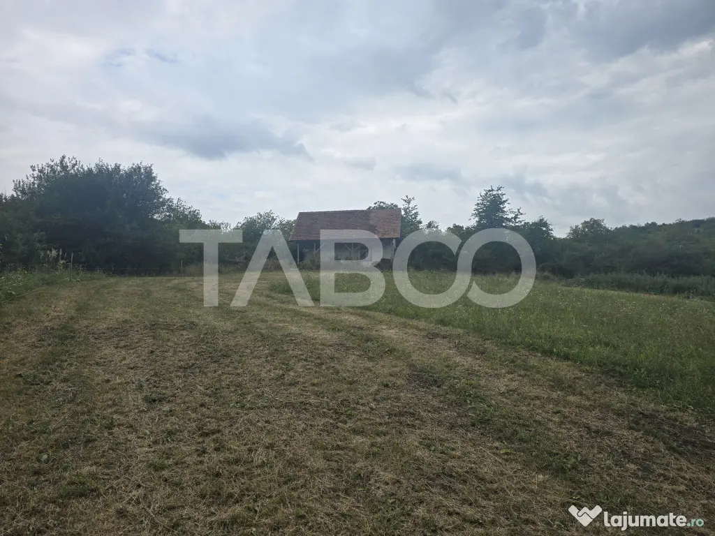Teren de vanzare 8700 mp cu un front de 30m in Sura Mare - Sura Mare (Sibiu)