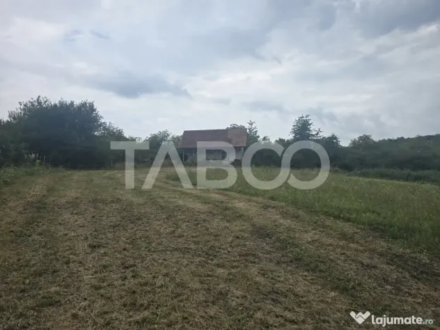 Teren de vanzare 8700 mp cu un front de 30m in Sura Mare - Sura Mare (Sibiu)