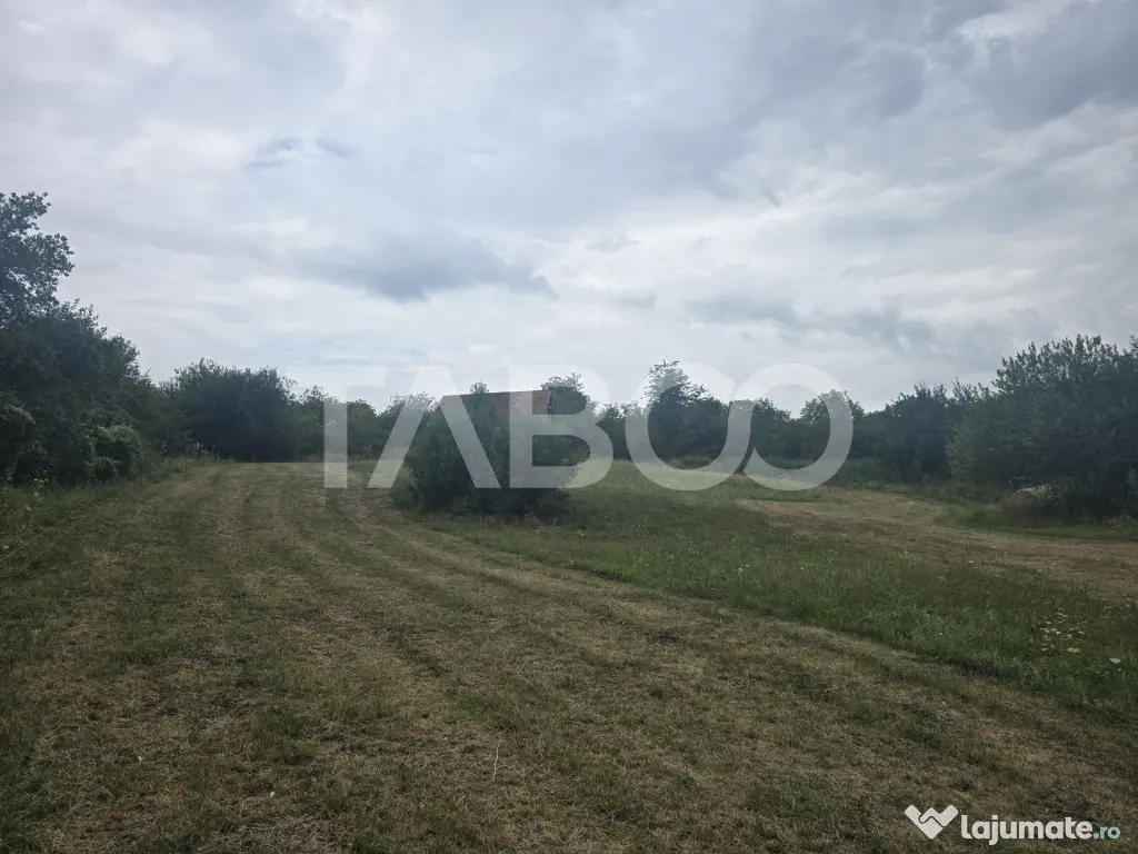 Teren de vanzare 8700 mp cu un front de 30m in Sura Mare - Sura Mare (Sibiu)