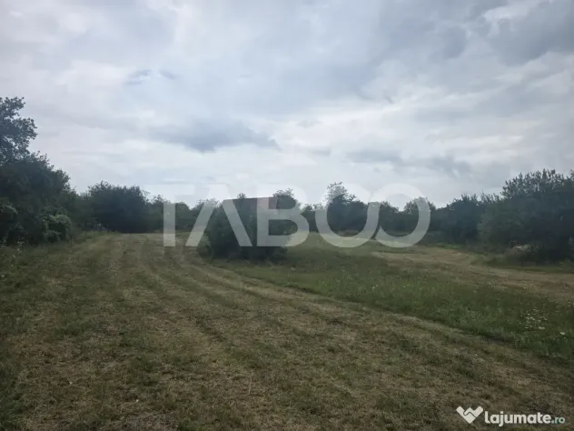 Teren de vanzare 8700 mp cu un front de 30m in Sura Mare - Sura Mare (Sibiu)