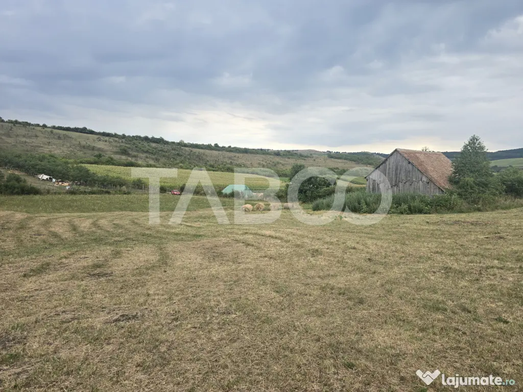 Teren de vanzare 8700 mp cu un front de 30m in Sura Mare - Sura Mare (Sibiu)