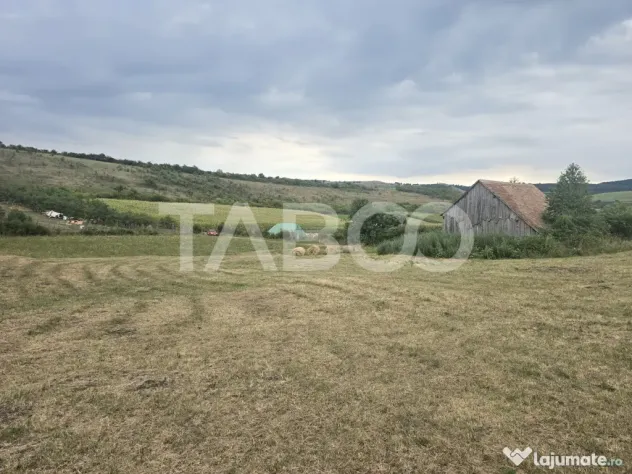 Teren de vanzare 8700 mp cu un front de 30m in Sura Mare - Sura Mare (Sibiu)