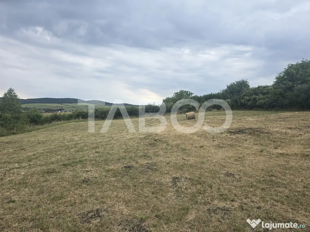 Teren de vanzare 8700 mp cu un front de 30m in Sura Mare - Sura Mare (Sibiu)