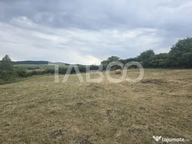 Teren de vanzare 8700 mp cu un front de 30m in Sura Mare - Sura Mare (Sibiu)