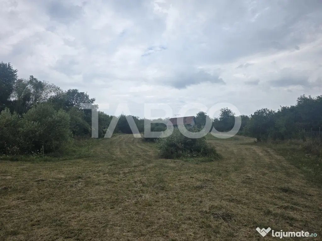 Teren de vanzare 8700 mp cu un front de 30m in Sura Mare - Sura Mare (Sibiu)