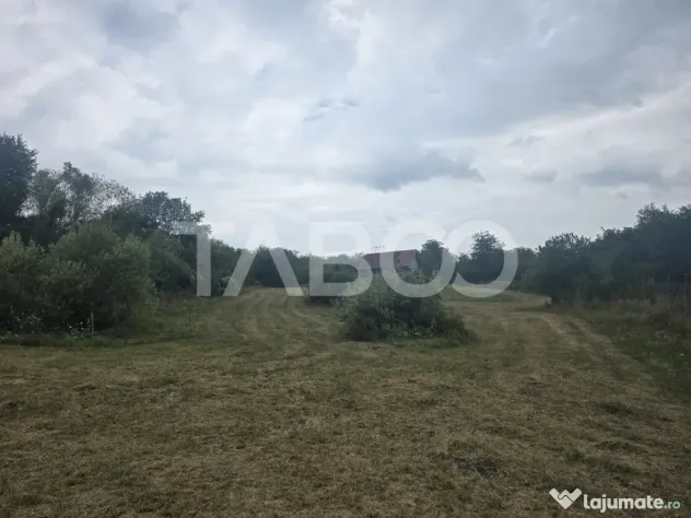 Teren de vanzare 8700 mp cu un front de 30m in Sura Mare - Sura Mare (Sibiu)