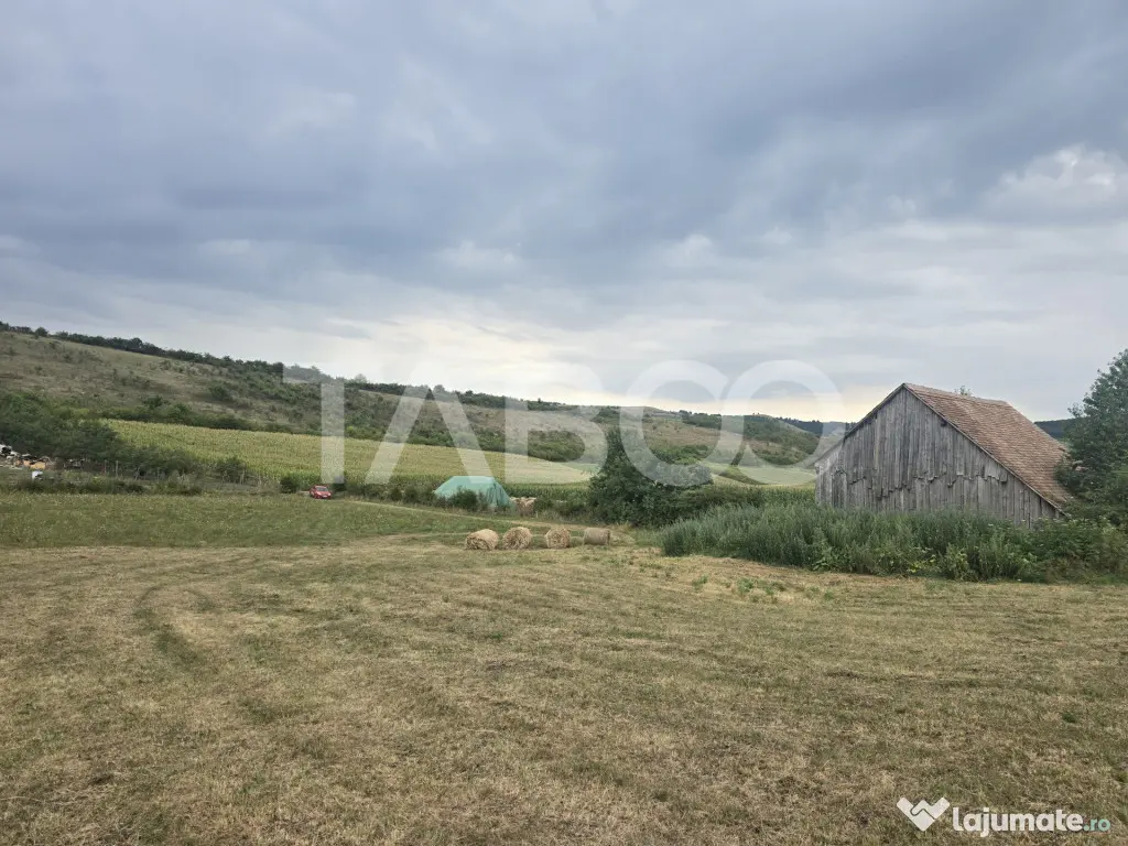 Teren de vanzare 8700 mp cu un front de 30m in Sura Mare - Sura Mare (Sibiu)