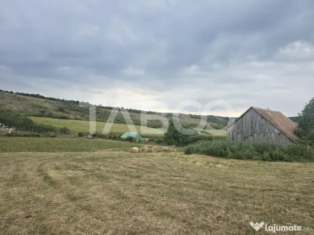 Teren de vanzare 8700 mp cu un front de 30m in Sura Mare - Sura Mare (Sibiu)