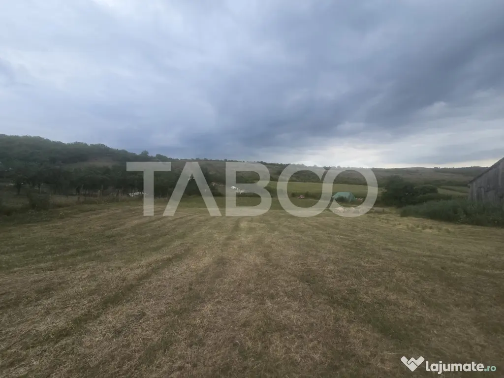 Teren de vanzare 8700 mp cu un front de 30m in Sura Mare - Sura Mare (Sibiu)
